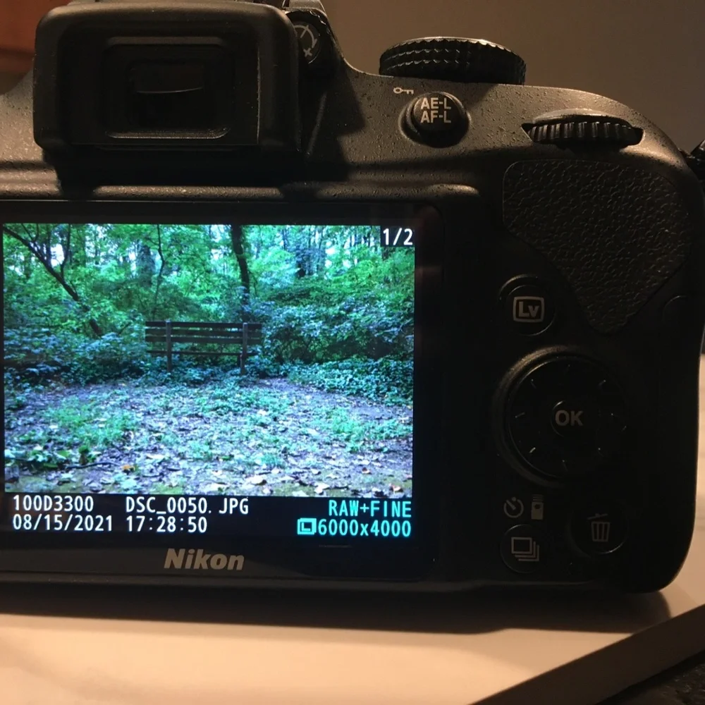 Nikkon D3300